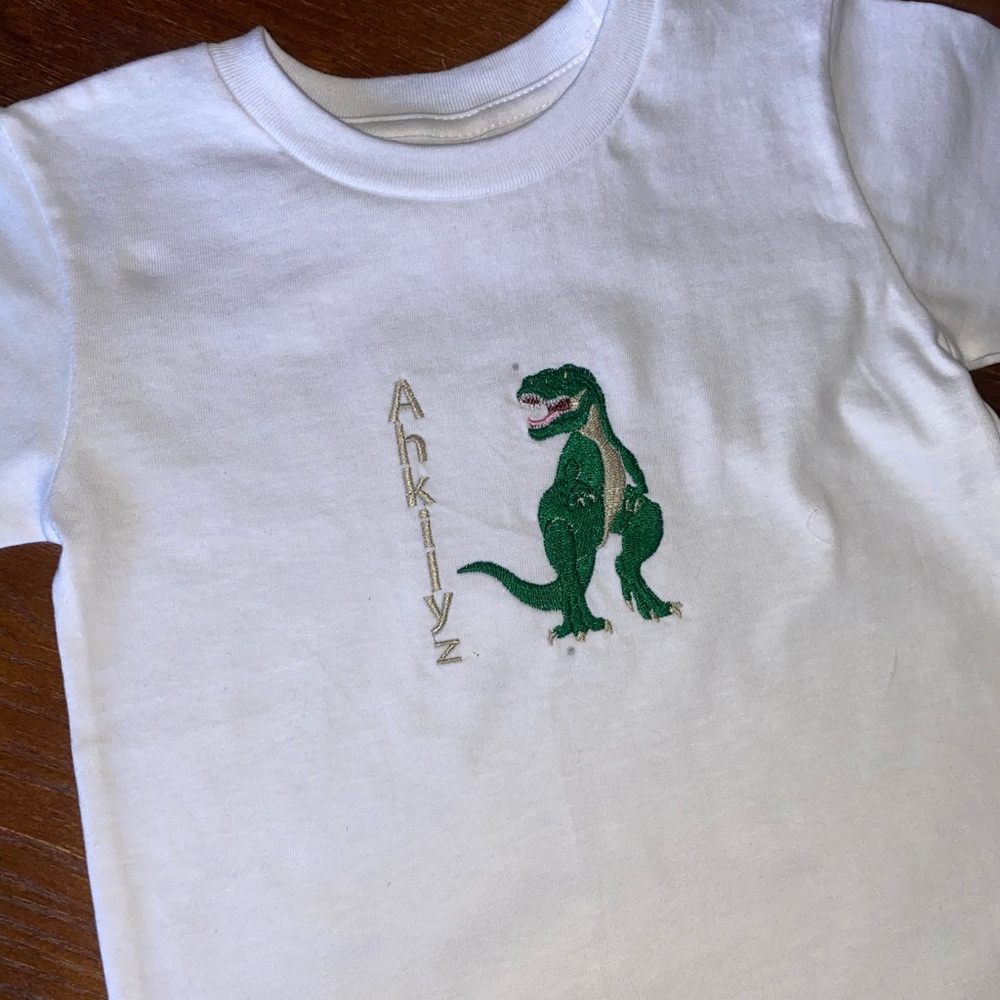 Custom embroidery dinosaur T-shirts